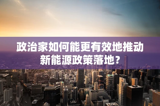 政治家如何能更有效地推动新能源政策落地？