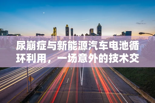 尿崩症与新能源汽车电池循环利用，一场意外的技术交汇？