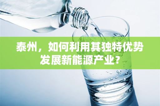 泰州，如何利用其独特优势发展新能源产业？