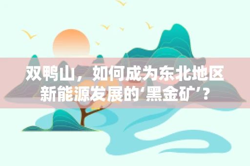 双鸭山，如何成为东北地区新能源发展的‘黑金矿’？