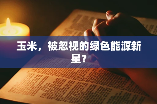 玉米，被忽视的绿色能源新星？