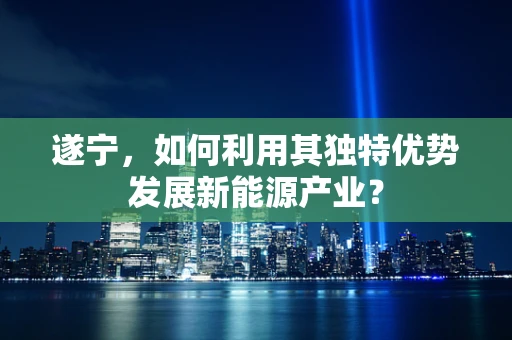 遂宁，如何利用其独特优势发展新能源产业？