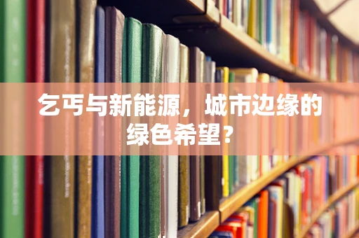 乞丐与新能源，城市边缘的绿色希望？