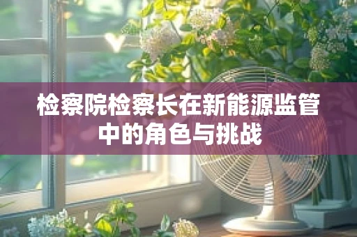 检察院检察长在新能源监管中的角色与挑战