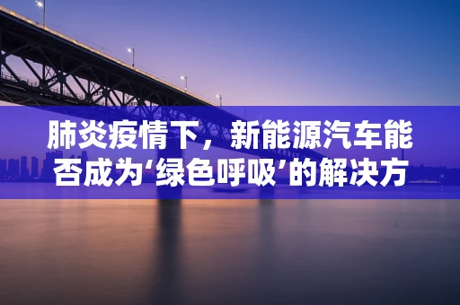 肺炎疫情下，新能源汽车能否成为‘绿色呼吸’的解决方案？