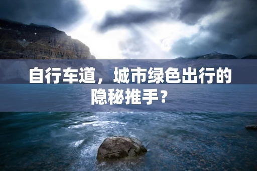 自行车道，城市绿色出行的隐秘推手？