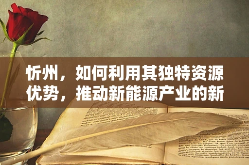 忻州，如何利用其独特资源优势，推动新能源产业的新篇章？