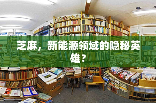 芝麻，新能源领域的隐秘英雄？