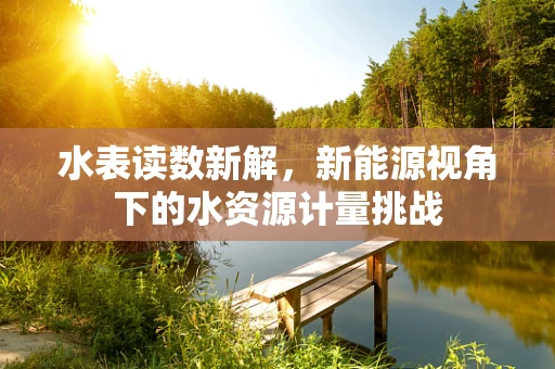 水表读数新解，新能源视角下的水资源计量挑战