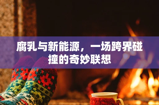 腐乳与新能源，一场跨界碰撞的奇妙联想