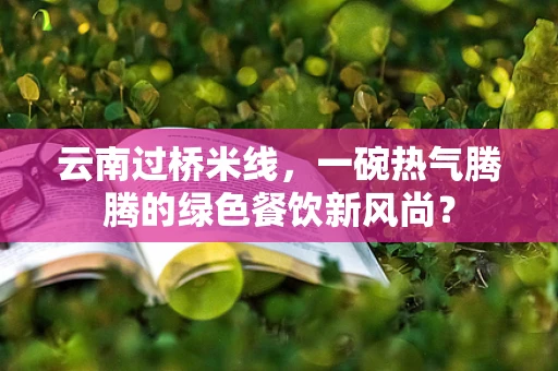 云南过桥米线，一碗热气腾腾的绿色餐饮新风尚？