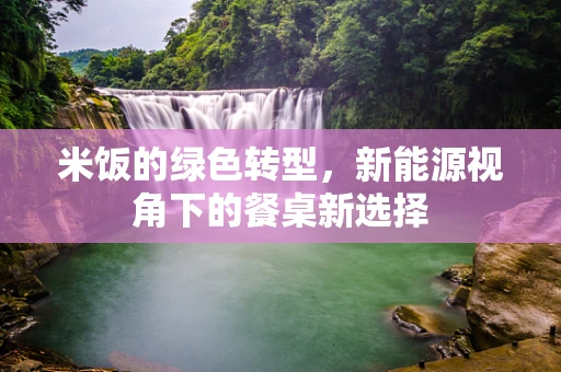 米饭的绿色转型，新能源视角下的餐桌新选择