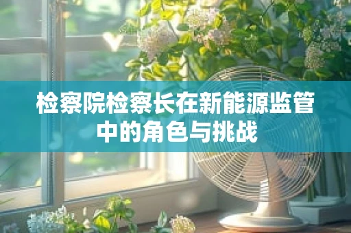 检察院检察长在新能源监管中的角色与挑战