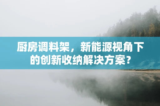 厨房调料架，新能源视角下的创新收纳解决方案？