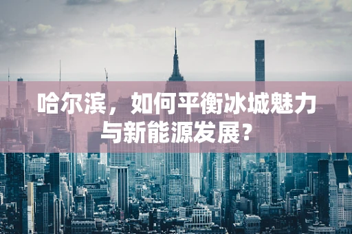 哈尔滨，如何平衡冰城魅力与新能源发展？