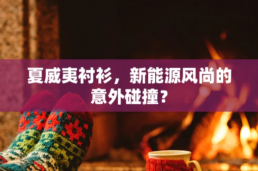 夏威夷衬衫，新能源风尚的意外碰撞？