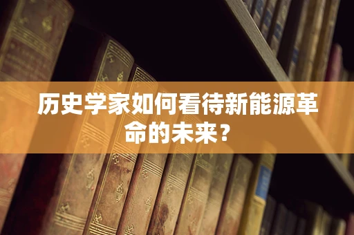 历史学家如何看待新能源革命的未来？