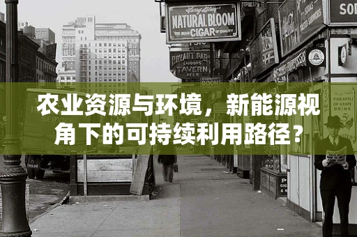 农业资源与环境，新能源视角下的可持续利用路径？