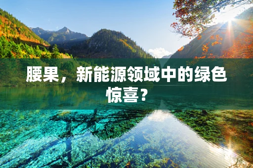 腰果，新能源领域中的绿色惊喜？