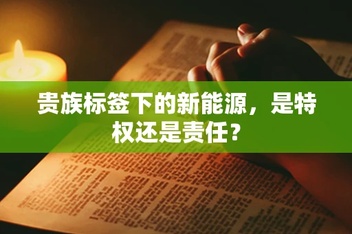 贵族标签下的新能源，是特权还是责任？