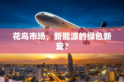 花鸟市场，新能源的绿色新宠？
