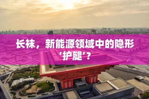 长袜，新能源领域中的隐形‘护腿’？