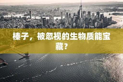 榛子，被忽视的生物质能宝藏？