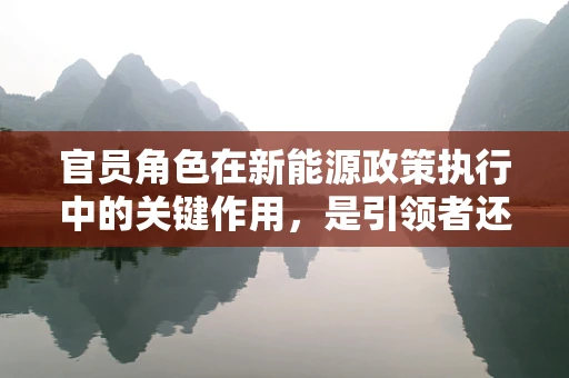 官员角色在新能源政策执行中的关键作用，是引领者还是障碍？