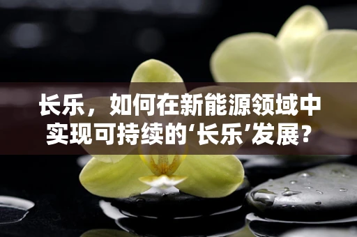 长乐，如何在新能源领域中实现可持续的‘长乐’发展？