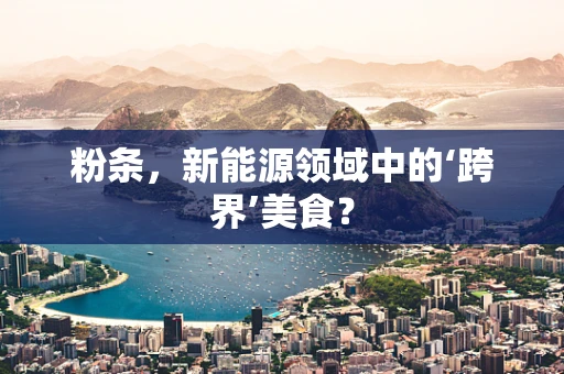 粉条，新能源领域中的‘跨界’美食？