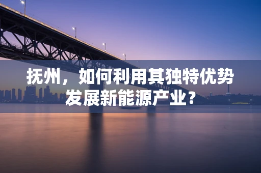 抚州，如何利用其独特优势发展新能源产业？