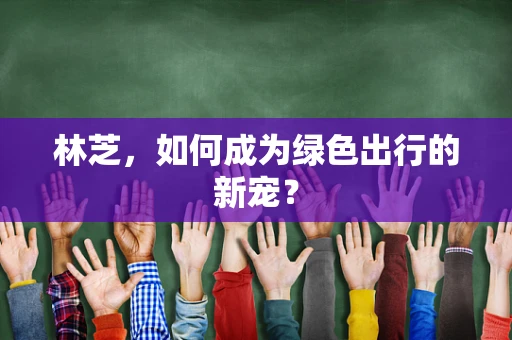 林芝，如何成为绿色出行的新宠？