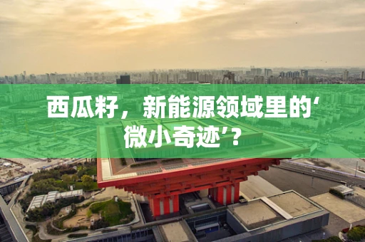 西瓜籽，新能源领域里的‘微小奇迹’？