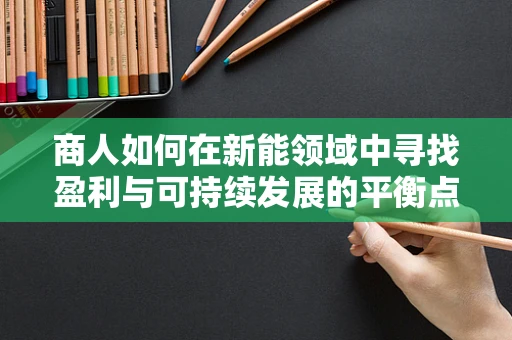 商人如何在新能领域中寻找盈利与可持续发展的平衡点？