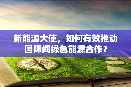 新能源大使，如何有效推动国际间绿色能源合作？