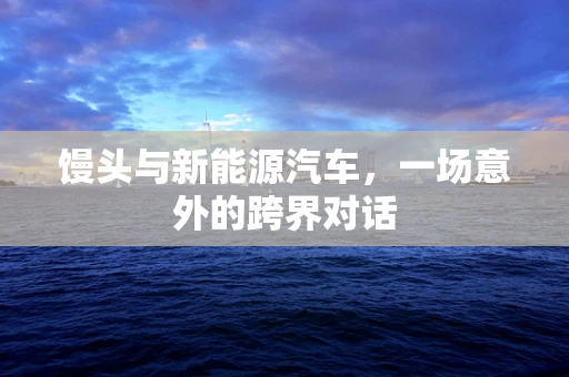 馒头与新能源汽车，一场意外的跨界对话