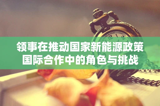 领事在推动国家新能源政策国际合作中的角色与挑战
