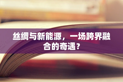 丝绸与新能源，一场跨界融合的奇遇？