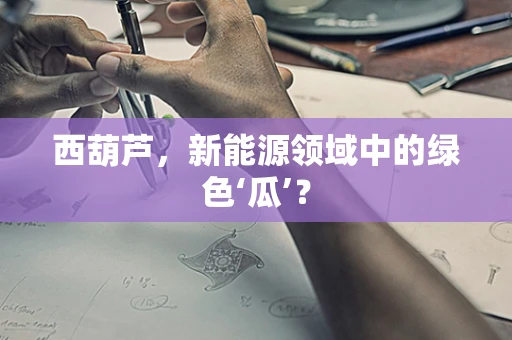 西葫芦，新能源领域中的绿色‘瓜’？