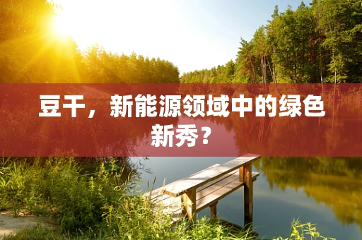 豆干，新能源领域中的绿色新秀？