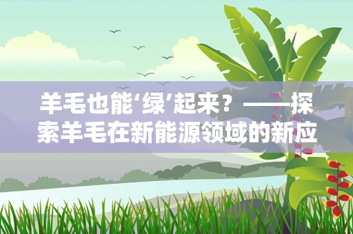 羊毛也能‘绿’起来？——探索羊毛在新能源领域的新应用