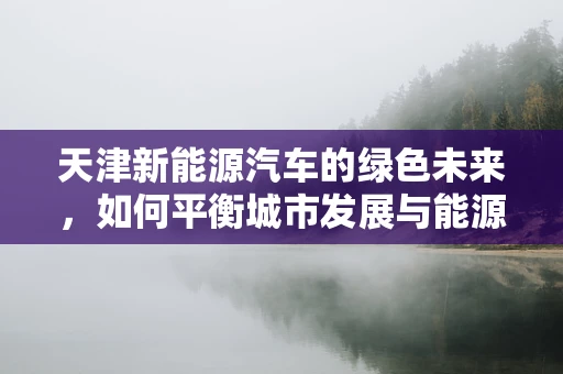 天津新能源汽车的绿色未来，如何平衡城市发展与能源转型？