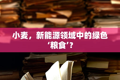 小麦，新能源领域中的绿色‘粮食’？