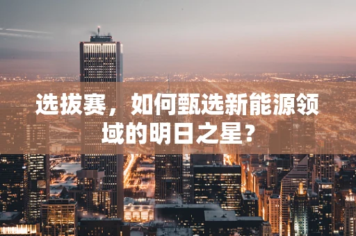 选拔赛，如何甄选新能源领域的明日之星？