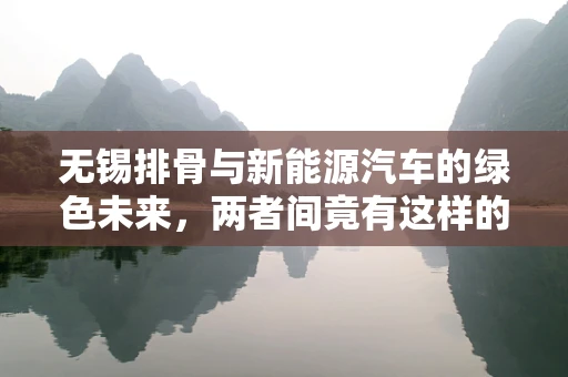 无锡排骨与新能源汽车的绿色未来，两者间竟有这样的微妙联系？