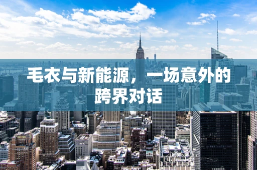 毛衣与新能源，一场意外的跨界对话