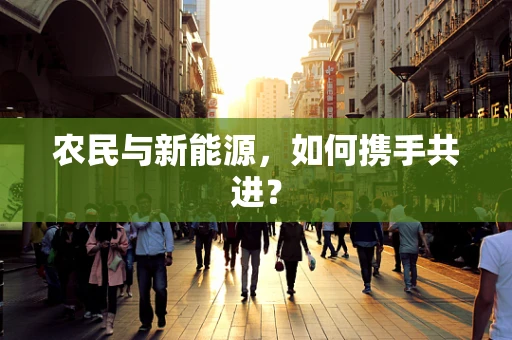 农民与新能源，如何携手共进？
