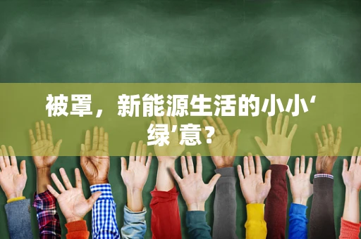 被罩，新能源生活的小小‘绿’意？