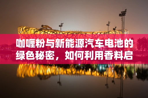 咖喱粉与新能源汽车电池的绿色秘密，如何利用香料启示优化储能材料？