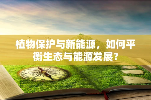 植物保护与新能源，如何平衡生态与能源发展？
